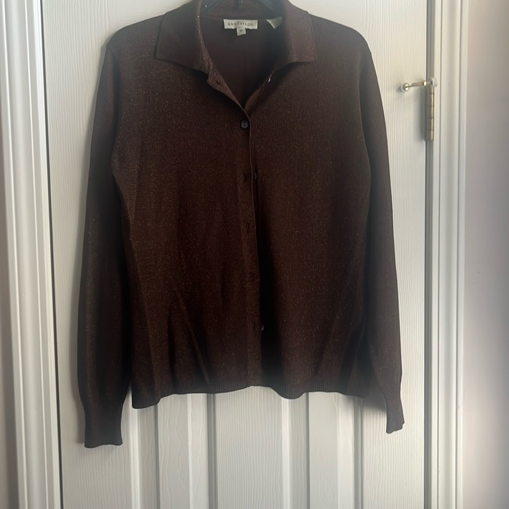 Ann Taylor Silk/ Metallic Top